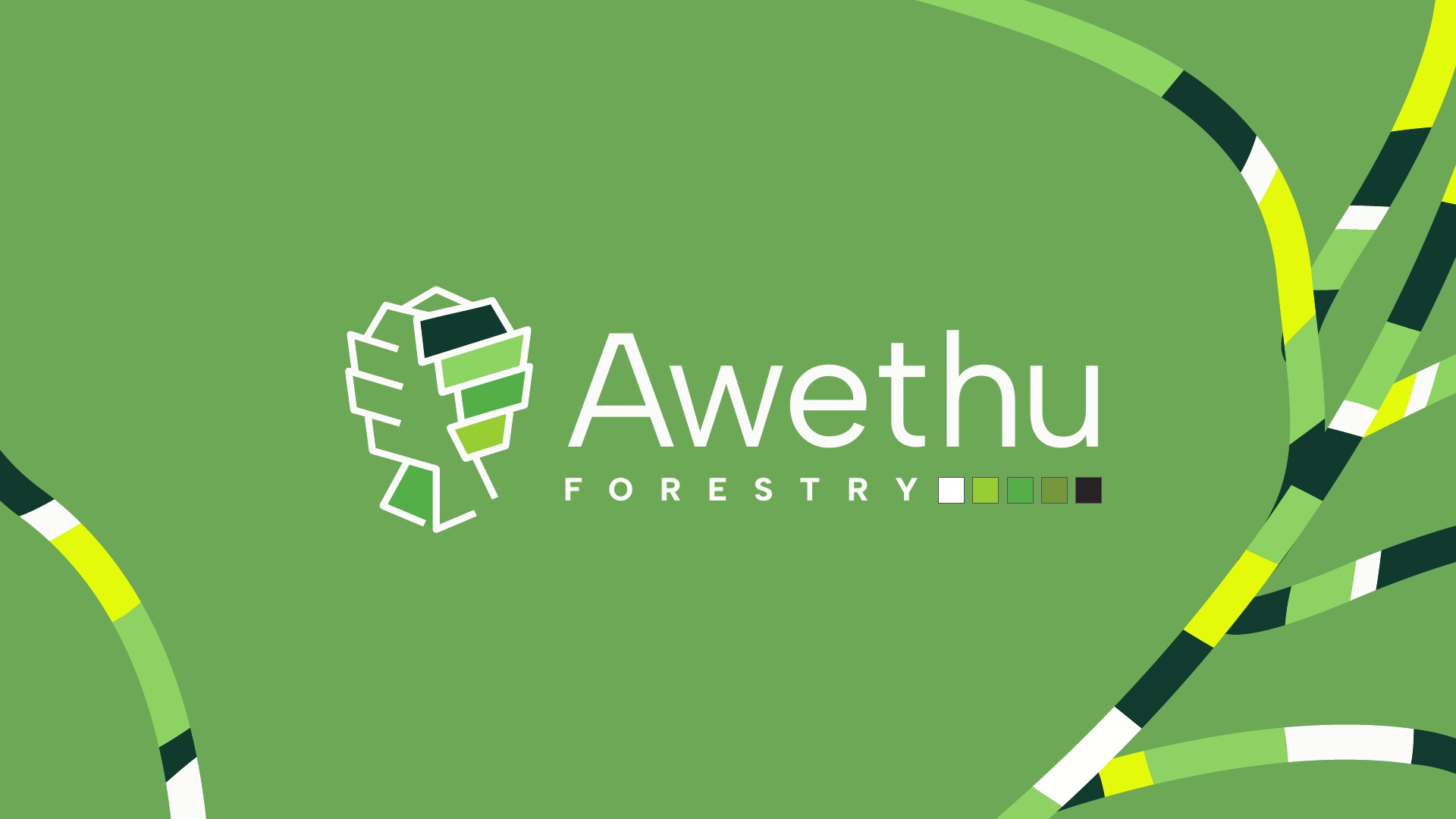 White Awethu Forestry logo on green with flowing ivory, dark-green and yellow-green ribbons
